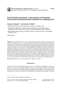 South Florida Microfungi: a New Species of Taeniolella (Anamorphic Sordariomycetes) Isolated from Cabbage Palm