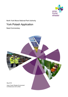 York Potash Application