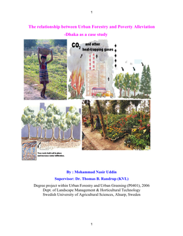 The Relationship Between Urban Forestry and Poverty Alleviation -Dhaka As a Case Study