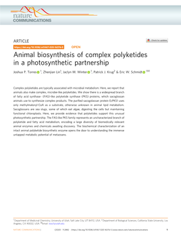 Animal Biosynthesis of Complex Polyketides in a Photosynthetic Partnership ✉ Joshua P