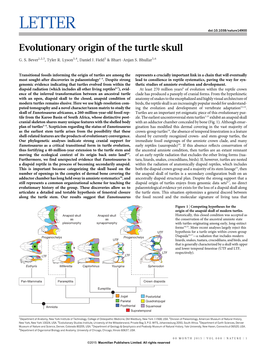 LETTER Doi:10.1038/Nature14900