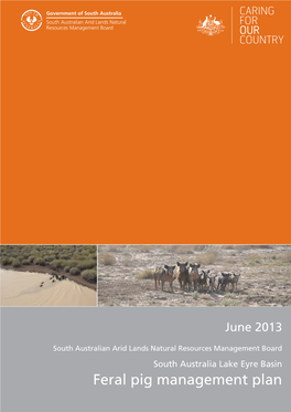 Feral Pig Management Plan South Australia Lake Eyre Basin Feral Pig Management Plan