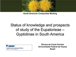 Status of Knowledge and Prospects of Study of the Eupatorieae – Gyptidinae in South America