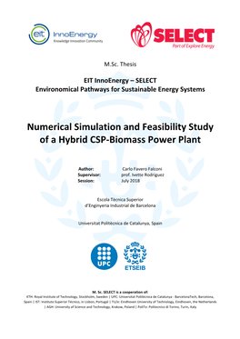 Numerical Simulation and Feasibility Study of a Hybrid CSP-Biomass Power Plant