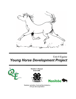 Young Horse Development Project