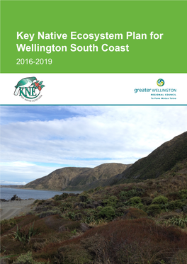 Key Native Ecosystem Plan for Wellington South Coast 2016-2019