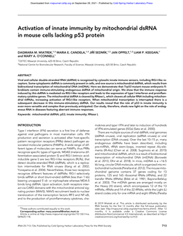 Activation of Innate Immunity by Mitochondrial Dsrna in Mouse Cells Lacking P53 Protein