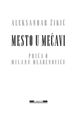 Aleksandar Žikić MESTO U MEĆAVI P  M M