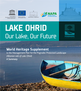 Our Lake, Our Future