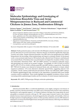 Molecular Epidemiology and Genotyping of Infectious Bronchitis