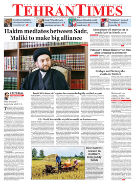 Hakim Mediates Between Sadr, Maliki to Make Big Alliance