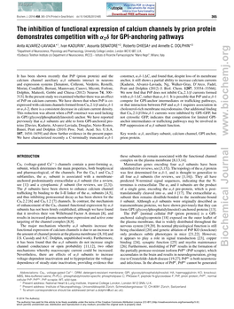 The Inhibition of Functional Expression of Calcium Channels by Prion