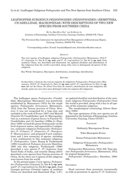 Leafhopper Subgenus Pediopsoides and Two New Species from Southern China 535