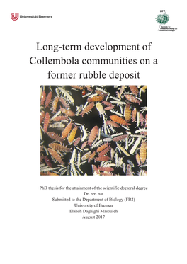 Long-Term Development of Collembola Communities on a Former Rubble Deposit