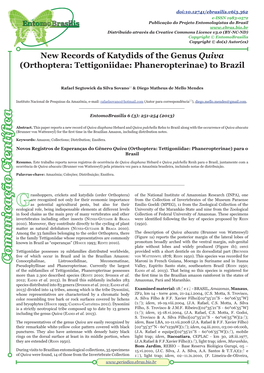 New Records of Katydids of the Genus Quiva (Orthoptera: Tettigoniidae: Phaneropterinae) to Brazil