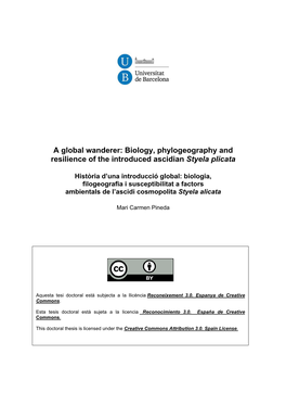 Biology, Phylogeography and Resilience of the Introduced Ascidian Styela Plicata