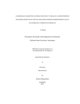 A Thesis Presented to the Faculty of the Department Of