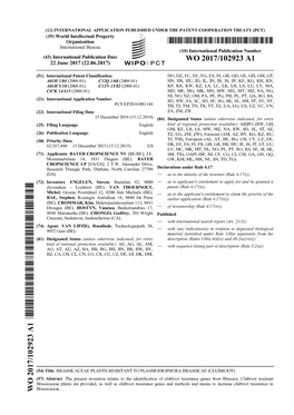 W O 2017/102923 Al 22 June 2017 (22.06.2017) W IPOI PCT