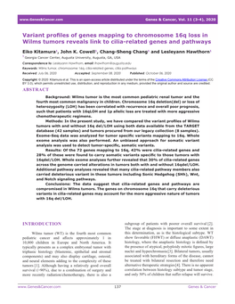 Variant Profiles of Genes Mapping to Chromosome 16Q Loss in Wilms Tumors Reveals Link to Cilia-Related Genes and Pathways