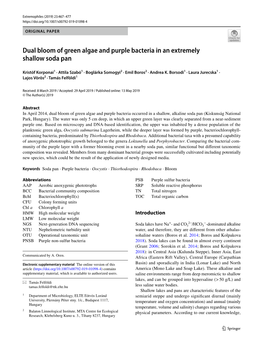 Dual Bloom of Green Algae and Purple Bacteria in an Extremely Shallow Soda Pan