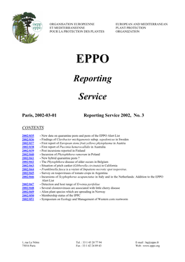 Reporting Service 2002, No