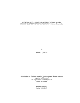 IDENTIFICATION and CHARACTERIZATION of a Cdna