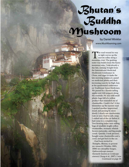 Bhutan's Buddha Mushroom