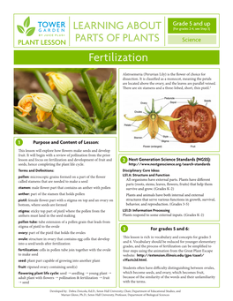 Learning About Parts of Plants