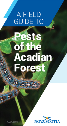 FIELD GUIDE to Pests of the Acadian Forest
