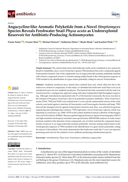 Angucycline-Like Aromatic Polyketide from a Novel Streptomyces Species Reveals Freshwater Snail Physa Acuta As Underexplored