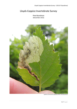 Lloyds Coppice Invertebrate Survey – 2013 (P