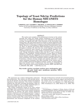 Predictions for the Human NDC1/NET3 Homologue