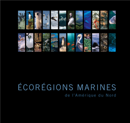 Écorégions Marines De L'amérique Du Nord