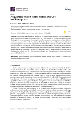 Regulation of Iron Homeostasis and Use in Chloroplasts