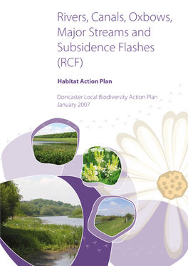 Rivers, Canals, Oxbows, Major Streams and Subsidence Flashes (RCF)