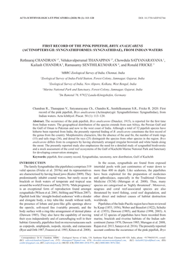 First Record of the Pink Pipefish, Bryx Analicarens (Actinopterygii: Syngnathiformes: Syngnathidae), from Indian Waters