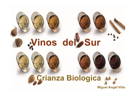 Vinos Del Sur