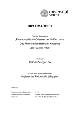 Diplomarbeit Patrick Zwerger FERTIG