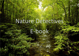 Nature Detectives E-Book – – the Project Was Co-Financed by the EU (Erasmus+) Agreement Number: 2015-1-PLO1-KA219-017195