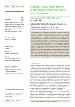 Polyploids Increase Overall Diversity Despite Higher Turnover Than