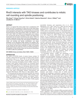 Rnd3 Interacts with TAO Kinases and Contributes to Mitotic Cell Rounding