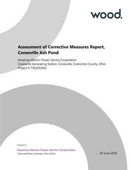 Assessment of Corrective Measures Report, Conesville Ash Pond