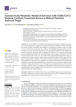 Genome-Scale Metabolic Model of Infection with SARS-Cov-2 Mutants Confirms Guanylate Kinase As Robust Potential Antiviral Target