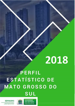 Perfil Estatístico De Mato Grosso Do Sul 2018