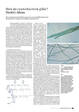 How Do Cyanobacteria Glide? David G. Adams