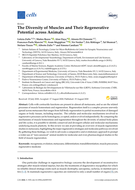 The Diversity of Muscles and Their Regenerative Potential Across Animals