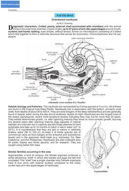 Nautilidae 709