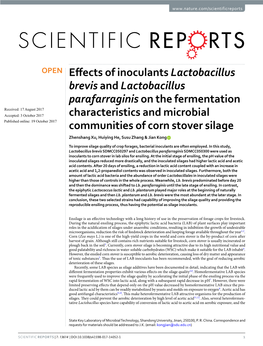 Effects of Inoculants Lactobacillus Brevis and Lactobacillus Parafarraginis on the Fermentation Characteristics and Microbial Co