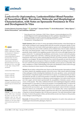 Lankesterella (Apicomplexa, Lankesterellidae) Blood Parasites