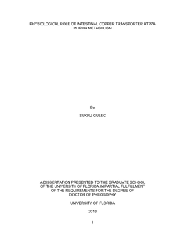 University of Florida Thesis Or Dissertation Formatting Template